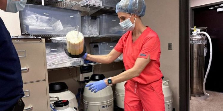 Pro-life leaders urge Trump to reverse his IVF stand, say the technology is ‘not pro-life’