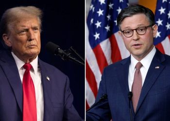 DOGE stimulus checks: Johnson side-steps question on Trump plan, says US has ‘giant deficit’