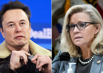 ‘Damn right’: Liz Cheney’s past USAID employment faces backlash after lashing out at Elon Musk