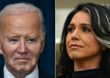 Gabbard says Biden admin ignored ‘highly inappropriate’ chats happening at national security agencies