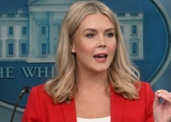 White House confirms who was appointed as acting administrator of DOGE