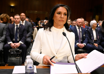 Trump nominee Tulsi Gabbard clears last hurdle, heads for final confirmation vote