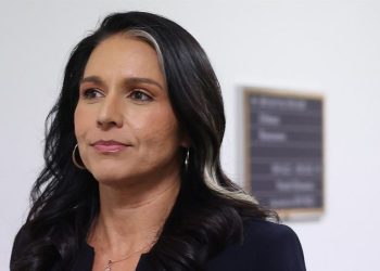 Trump on verge of next Cabinet victory with late-night Tulsi Gabbard Senate vote