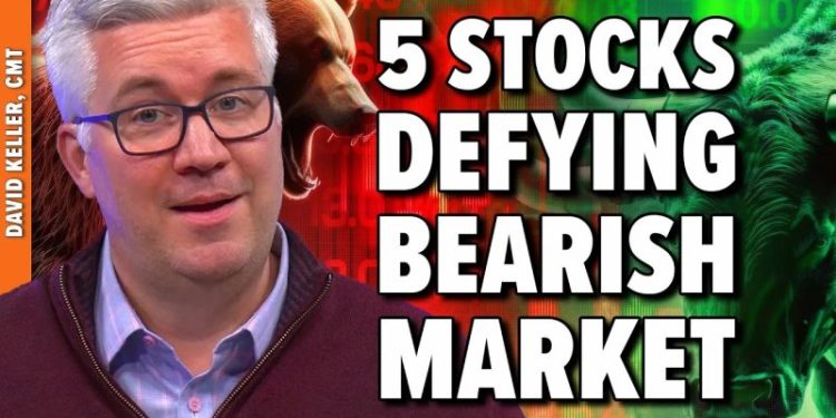 5 Strong Stocks Defying the Bearish Market!