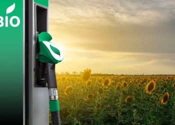 6 US Biofuel Stocks in 2025