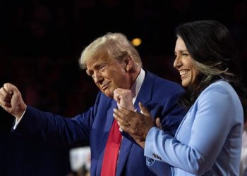 Tulsi Gabbard thanks Trump for ‘unwavering leadership’ in Oval Office clash with Zelenskyy