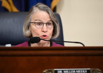 Iowa rep in swing district endorsed by group working to elect GOP women