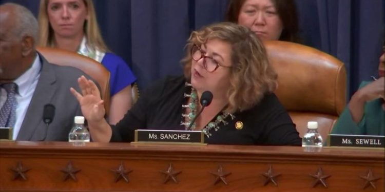 Democrat Congresswoman draws boos over ‘shameful’ sexism remark in committee hearing with Treasury Secretary