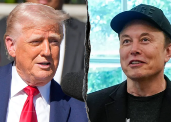 Musk deletes explosive posts about Trump and Epstein files