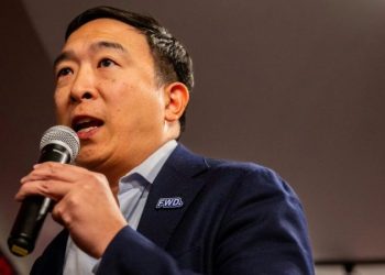 Elon Musk connects with indie Andrew Yang on billionaire former Trump ally’s third party push