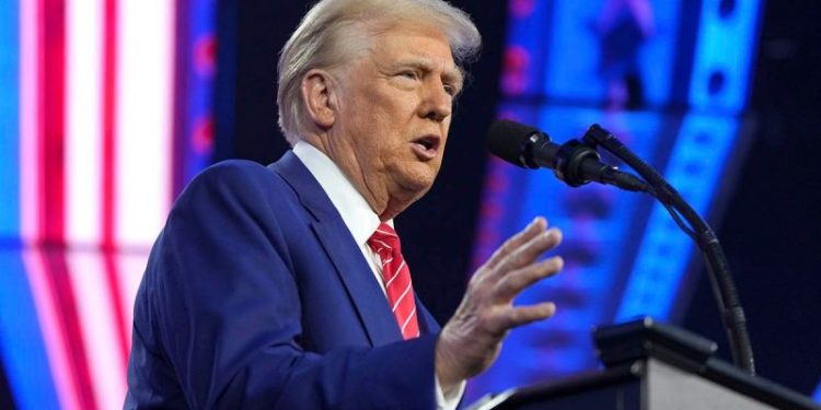 Trump tells Grassley to tell Democrats ‘go to HELL’ over blocked judicial nominees in Senate