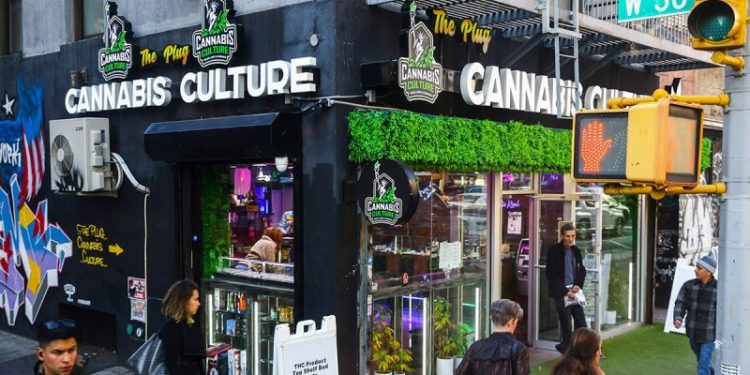 ALEX BERENSON: Trump’s marijuana order pushes a dangerous lie about drugs