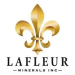 LaFleur Minerals Updates PEA and Beacon Gold Mill Restart Work