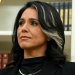 Gabbard ends task force that aimed to reform intelligence gathering after less than a year